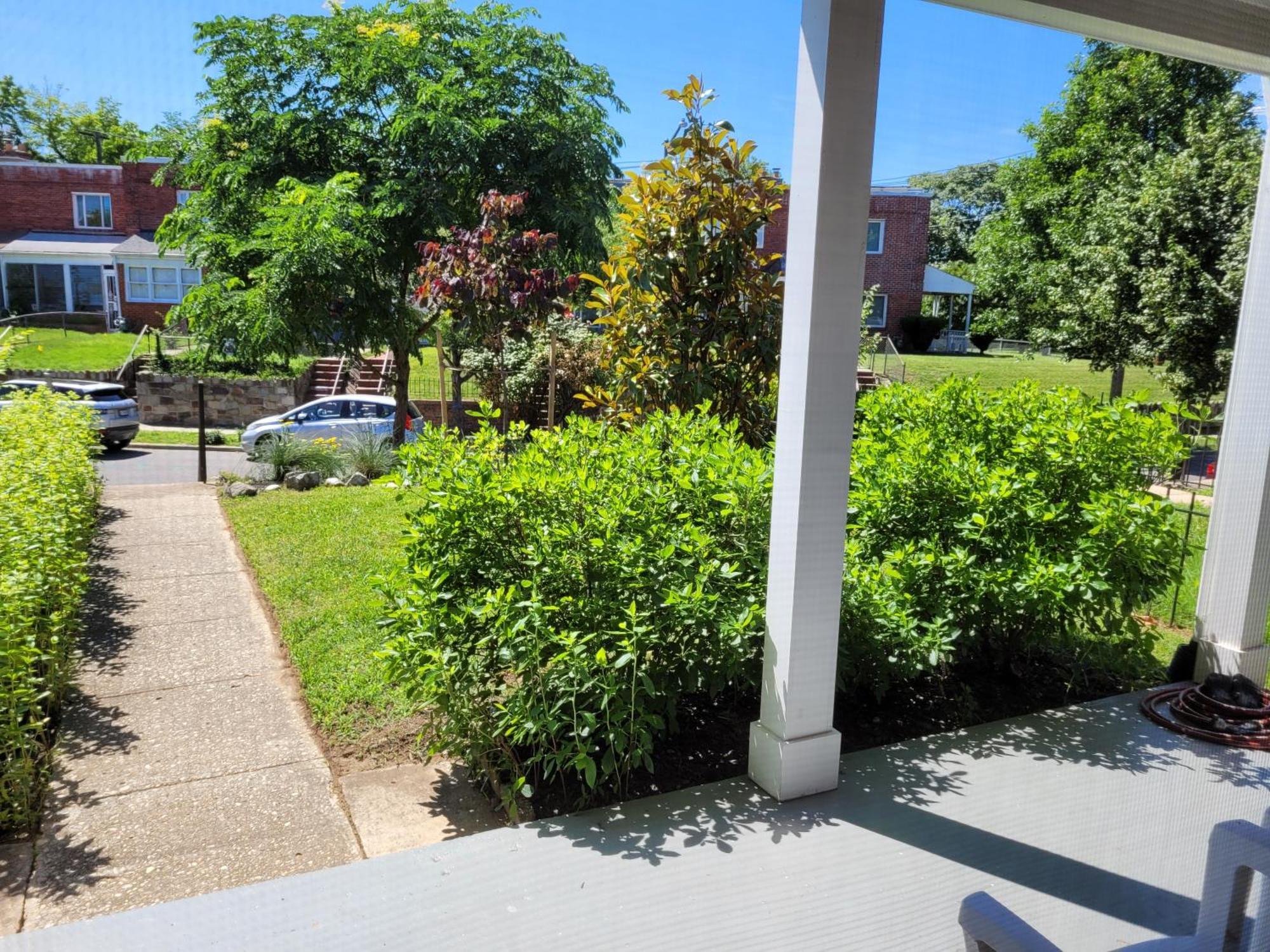 Capitol Hill Adj Home With Parking And Easy Access To Downtown Washington Bagian luar foto